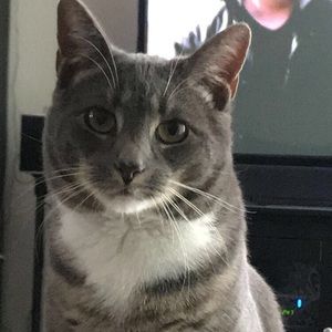 Meet your Posher, Kyra